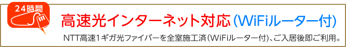 高速光インターネット対応