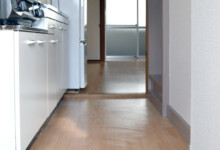 玄関から 玄関から